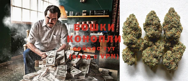 ГАЛЛЮЦИНОГЕННЫЕ ГРИБЫ Горнозаводск