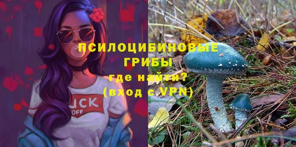 ГАЛЛЮЦИНОГЕННЫЕ ГРИБЫ Горнозаводск