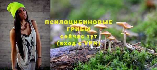mdpv Горно-Алтайск
