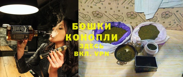 mdpv Горно-Алтайск