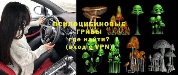 ГАЛЛЮЦИНОГЕННЫЕ ГРИБЫ Горнозаводск