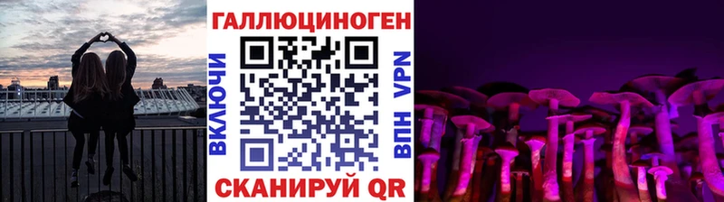 Купить закладки  Кондопога  Галлюциногенные грибы Psilocybe 